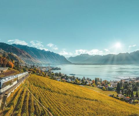 Train driving through picturesque vineyards in Switzerland