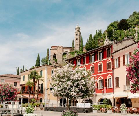 Pretty, colourful buildings with spring blossom trees 