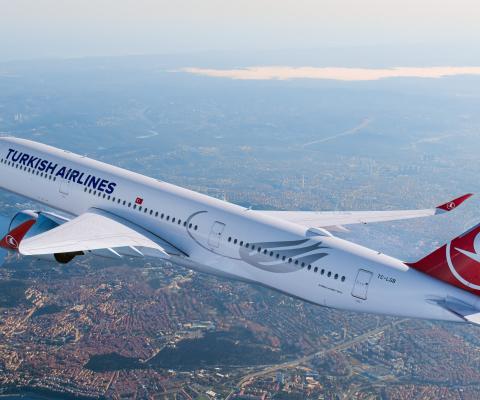 Turkish Airlines aircraft in sky 