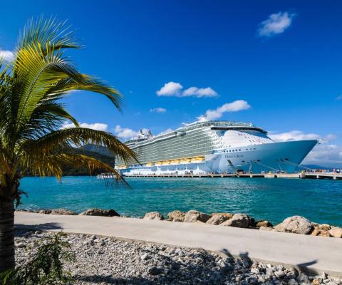 Royal Caribbean Cruise ship docked near palm trees