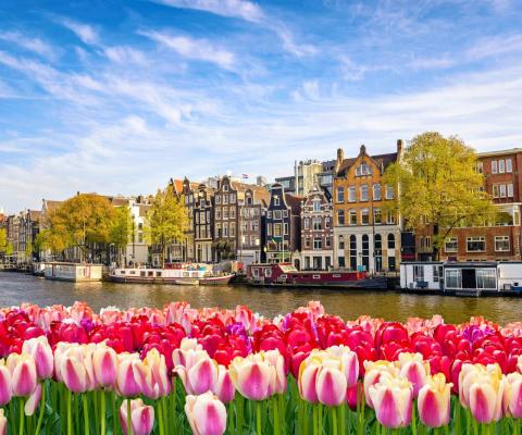 Riviera Travel ship cruising in Amsterdam during tulip season
