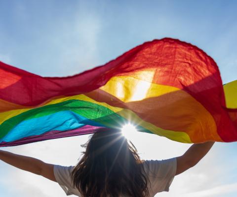 LGBT flag being waved