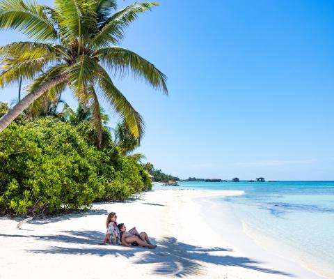 Caribbean demand grows