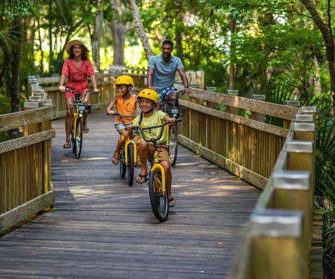 A family exploring in Florida