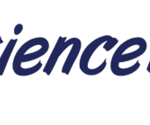 experience it now logo v2