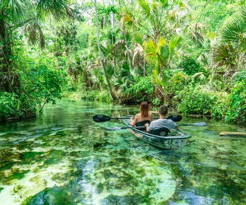 two people in a glass-bottom kayaking paddling down a river surrounded by greenery