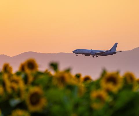 Aircraft coming into land