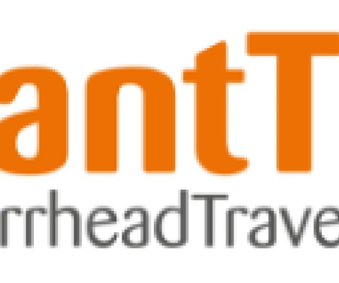 brilliant travel logo