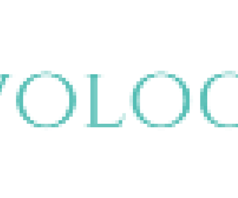 travology travel logo