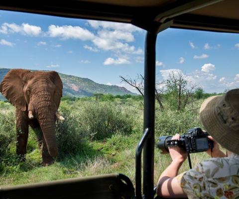 A woman in a safari truck photographing an elephant standing in front of her