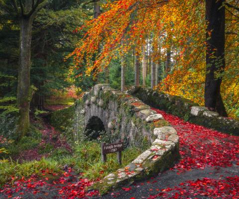 Foley's Bridge at Tollymore Forest Park in County Down 