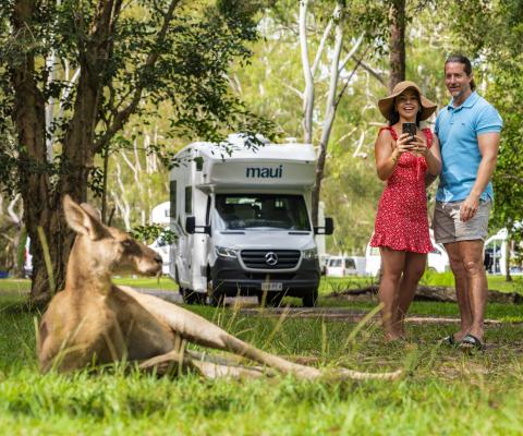 A thl Maui motorhome in Australia with a kangaroo in the foreground 