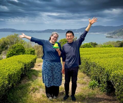 Nagasaki tea farm