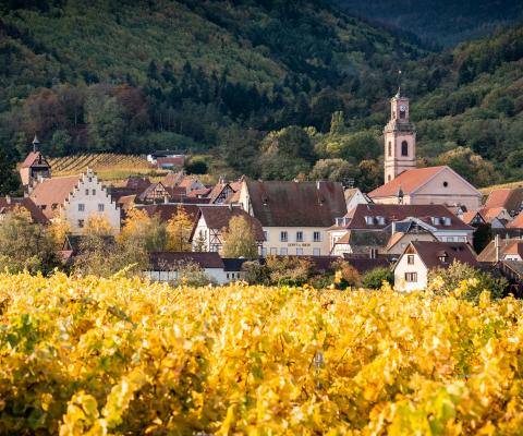 Alsace (France) 