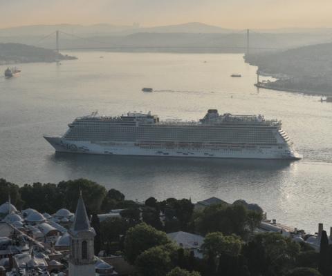 Aroya 