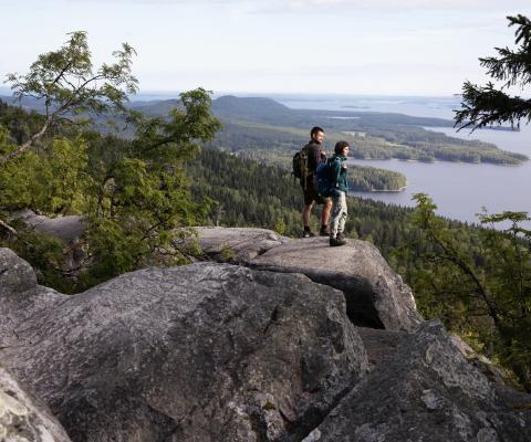 Lake Pielinen in Koli National Park, in North Karelia, Finland