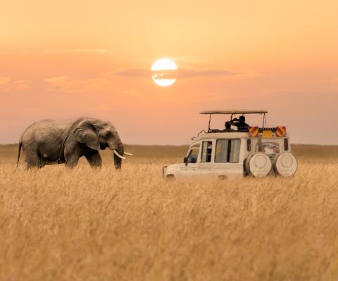 The A&K Sanctuary Experience - Masai Mara National Reserve Kenya