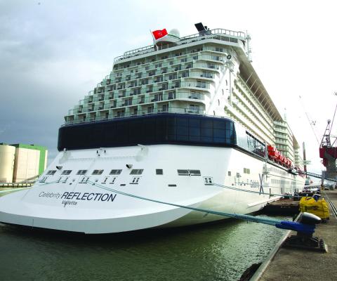 Celebrity Reflection