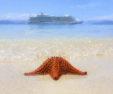 Cruise ship and starfish (stock)