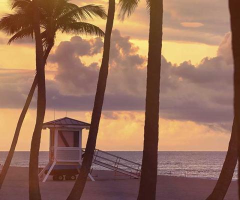 Miami beach at sunset