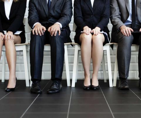 Job interview, recruitment