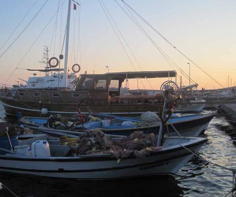Ayvalik boats