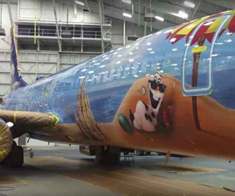 FrozenPlaneWestjet.jpg