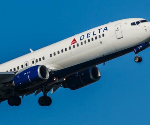 Delta Air Lines, 737