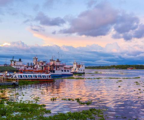 Amazon rainforest.jpg