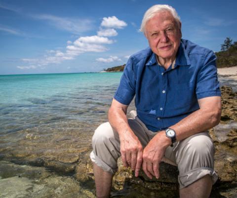 Great Barrier Reef with David Attenborough - Image 1.jpg