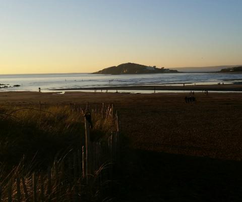bantham.jpg