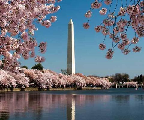 Biden made the comments during a press conference in Washington with German chancellor Angela Merkel