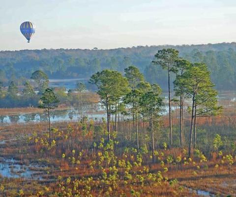 Balloon over Kissimmee