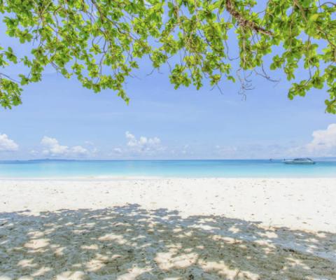 Koh Tachai Thailand beach