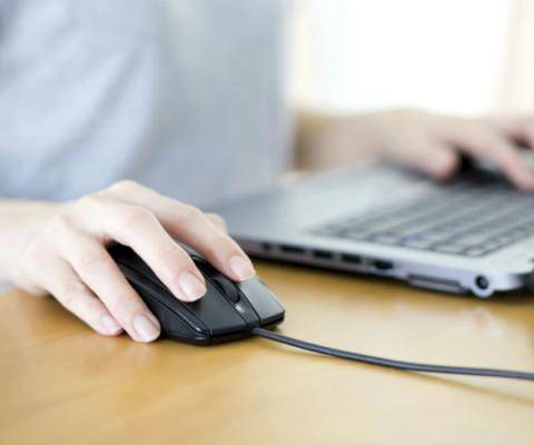 surfing the internet