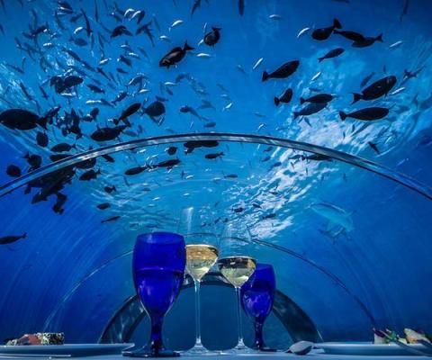 Hurawalhi5.8UnderwaterRestaurant3.jpg