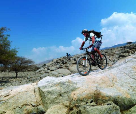 RAK Radar Shadow PPa  _4513342 copy.jpg