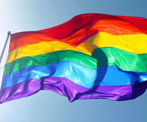 Pride flag.jpg