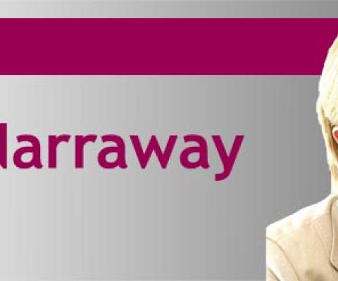 Lynn Narraway Opinion