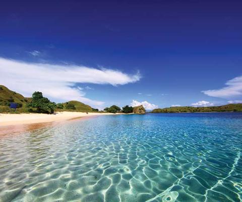 Flores pink beach komodo, Indonesia