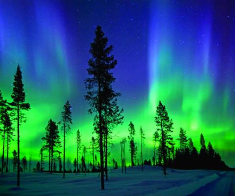 Northern Lights iStock_16343631_LARGE.jpg