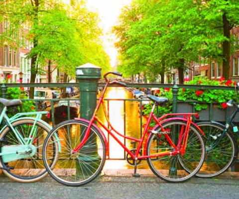 Amsterdam Bicycles.jpg