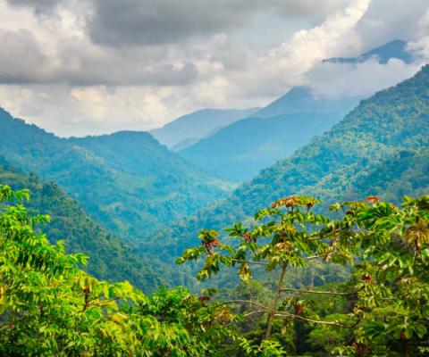 Colombia Mountains iStock-501625240.jpg