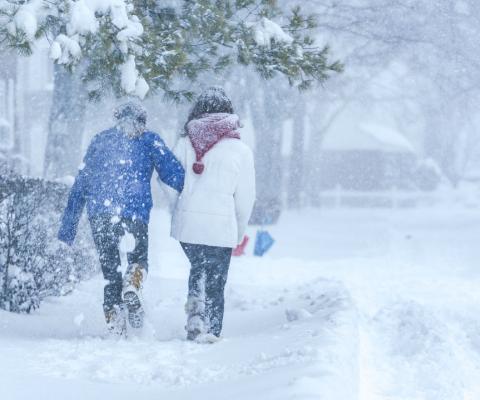Snowstorm_edit.jpg