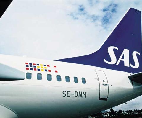 Aircraft SAS Boeing 737 tailfin