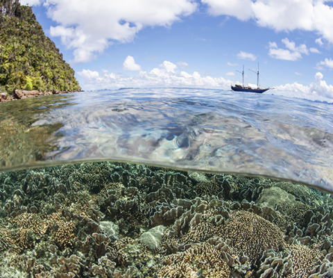 The industry's concern for the underwater environment is a concern, research found