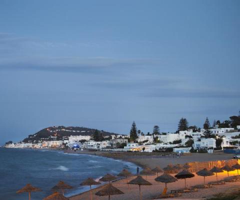 Tunis iStock-596074604.jpg