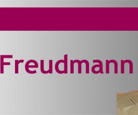 Steven Freudmann Opinion