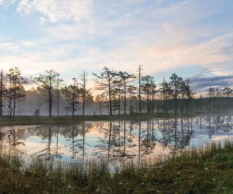 New tour operator promises to ‘put sustainability first and the destination second’