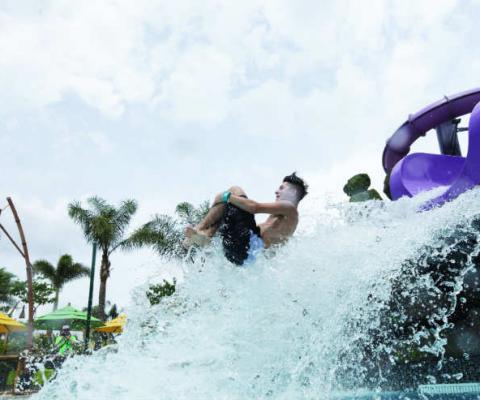 29_Ohyah and Ohno Drop Slides.jpg